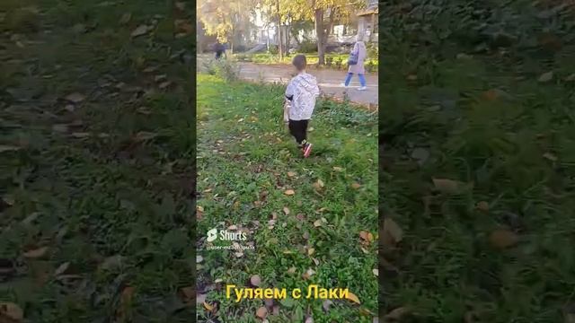 Дима гуляет с Лаки