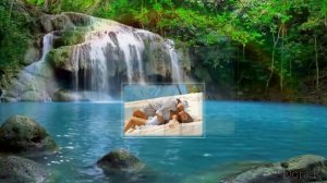 В этом мире мы вдвоем