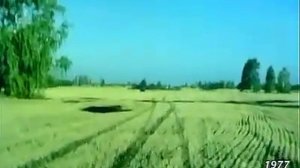 1977 год. Упоровский район. Уборка урожая. Киноочерк "Трудный хлеб Емуртлы".