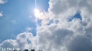 Make a kitchen to cook pig bran, take care of the pigs on the farm_ Ly Thi Linh