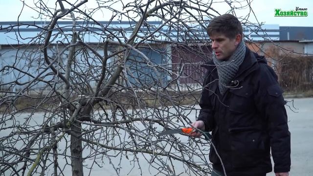 Как обрезать запущенную яблоню? смотреть онлайн