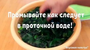 Заморозьте или засолите листья перца на зиму!
