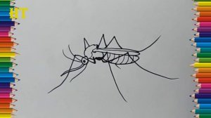 How to draw a Mosquito step by step - Mosquito drawing easy for beginners