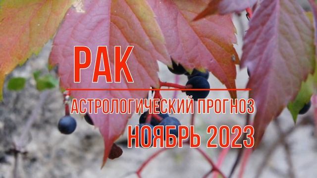 Рак астрологический прогноз на ноябрь 2023 смотреть онлайн