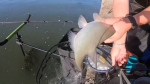 ЭЛЬДОРАДО ПО ЛЕЩУ. АКСАЙСКИЕ ПЛИТЫ. ОТЛИЧНЫЙ ОТДЫХ И РЫБАЛКА В КРУГУ ДРУЗЕЙ И ПОДПИСЧИКОВ.