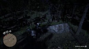 Red dead redemption 2:Где найти гризли для последнего испытания мастер оружия