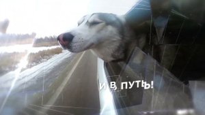 Куда поехать зимой отдыхать?