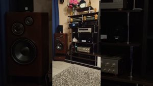 Внешний ЦАП SMSL D400 EX (переключение кабеля XLR на кабель RCA) 1