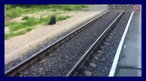 свалился с высоты на высоковольтные провода, делая селфи