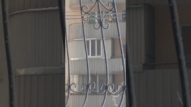 Птичка любит будить по утрам смотреть онлайн