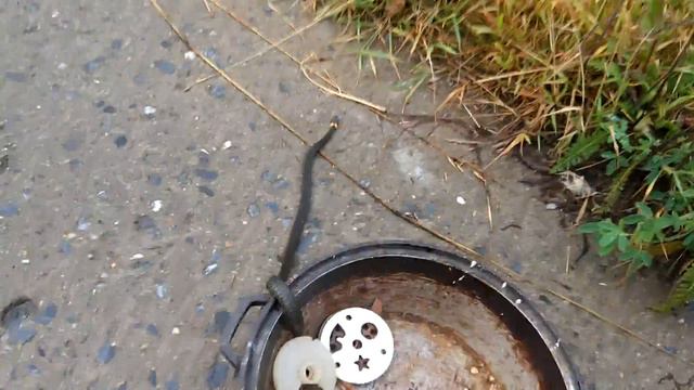 Поймал змею в сарае смотреть онлайн