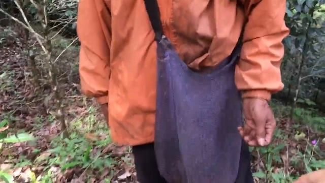 Relationship Coffee - small holder in West Java Indonesia смотреть онлайн