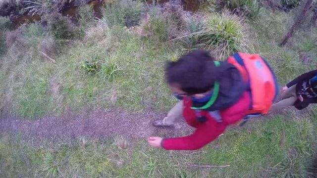 ? Hiking in Stewart Island (& Kiwi Spotting) – New Zealand's Biggest Gap Year смотреть онлайн