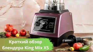 Краткий обзор блендера King Mix X5. Инструкция по управлению