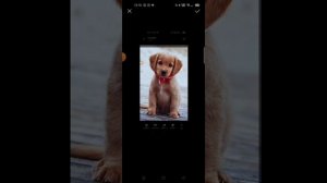 Любая фотка или картинка на заставку HUAWEI Watch Fit.