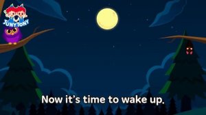 ?? We Like the Night | Nocturnal Animals Owl, Wolf, Tarsier | Night Animal | Kids Songs | JunyTony