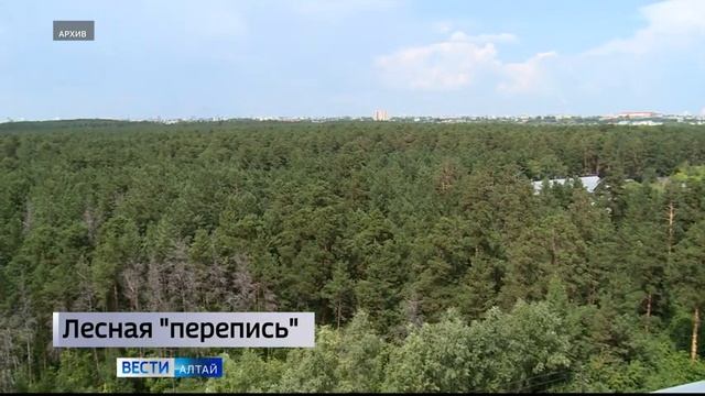 Больше 13 тыс. га городских лесов Алтайского края внесли в Единый госреестр недвижимости