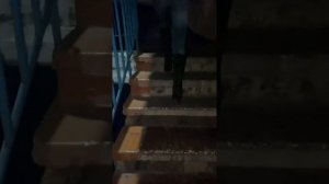 БЕЗУМНЫЙ ПАША. ОЛЕГ МОНГОЛ И ИРИШКА ЧИКИ ПИКИ ЗАТАРИЛИСЬ В МАГАЗИНЕ И ИДУТ В ГОСТИ К САНЕ БЫКУ.