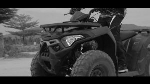NEW! XWOLF200