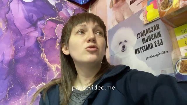 Обзор. Alleva собаки. Аллева. смотреть онлайн