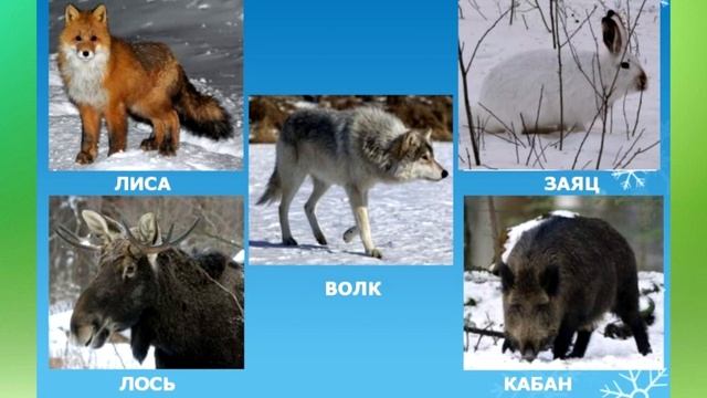 Заповедники Центральной России