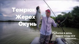 Темрюк - жерех, окунь. Рыбалка в день ливня, когда все затопило... 2021 г.