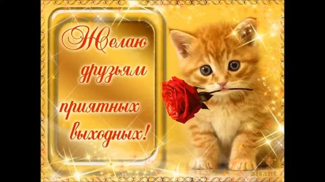 ФУТАЖ  ЖЕЛАЮ ДРУЗЬЯМ ПРИЯТНЫХ ВЫХОДНЫХ смотреть онлайн