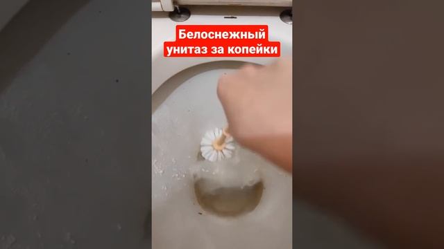 Белоснежный унитаз за копейки