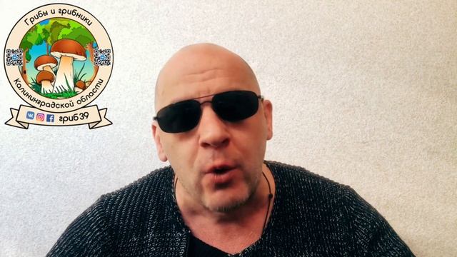 ГРИБНАЯ БАНДА КАЛИНИНГРАДА. грибное хобби, любители природы