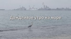 Дождливое утро на море