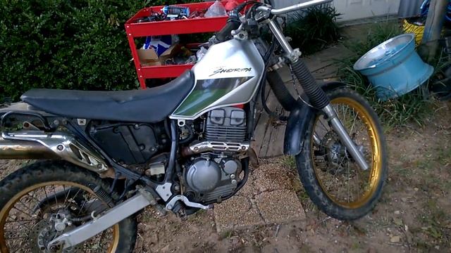 Derpa Sherpa build teaser смотреть онлайн