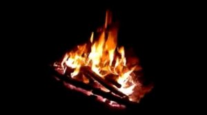 твои карие глаза