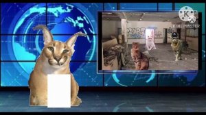 Новости о канале #3