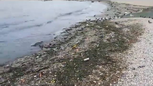 Crimean Sewer Koktebel - Russia / Крымская канализация Коктебель