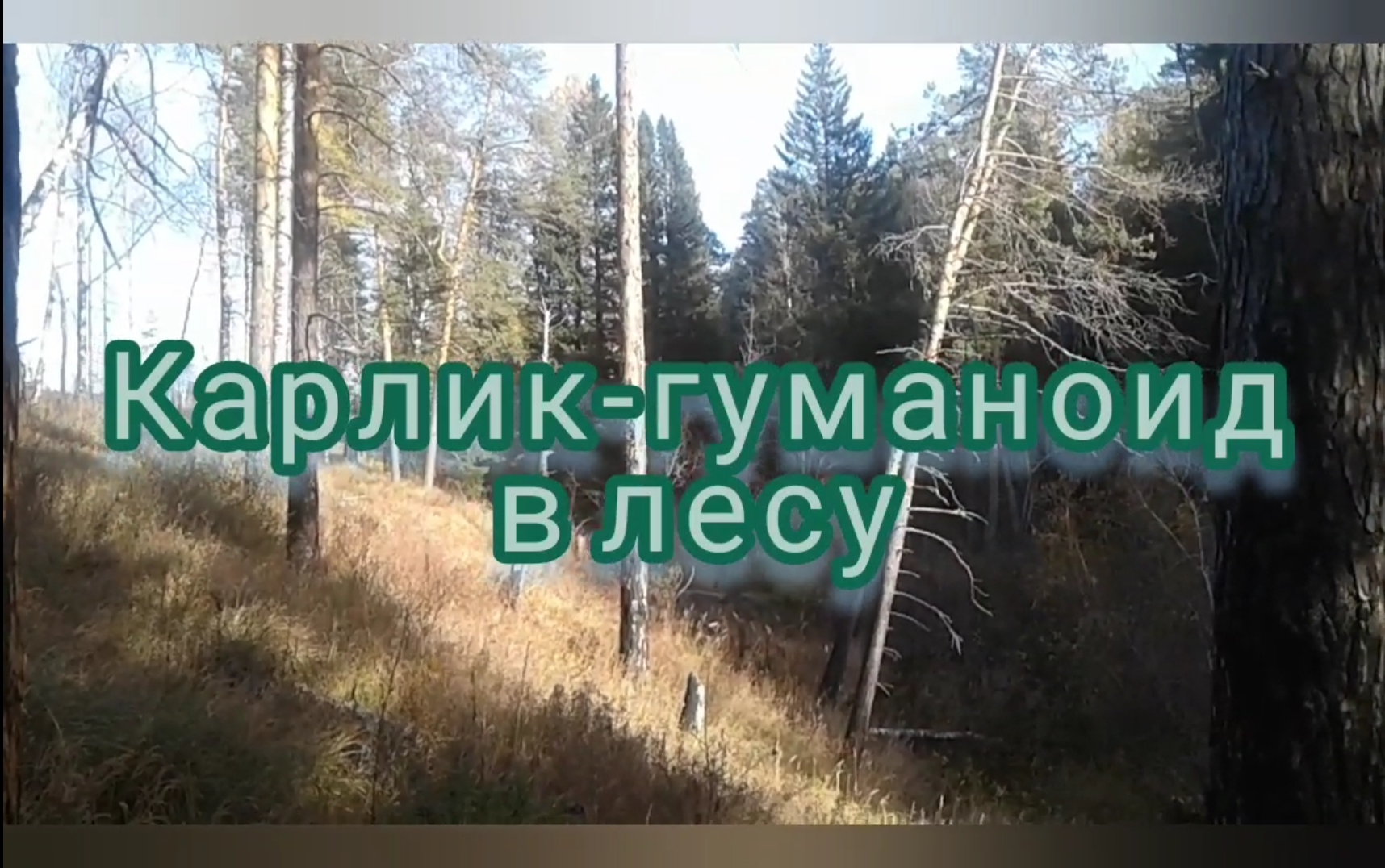 НЛО, лесной карлик, гуманоид? смотреть онлайн