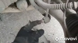 Про запчасти "Нет износа"