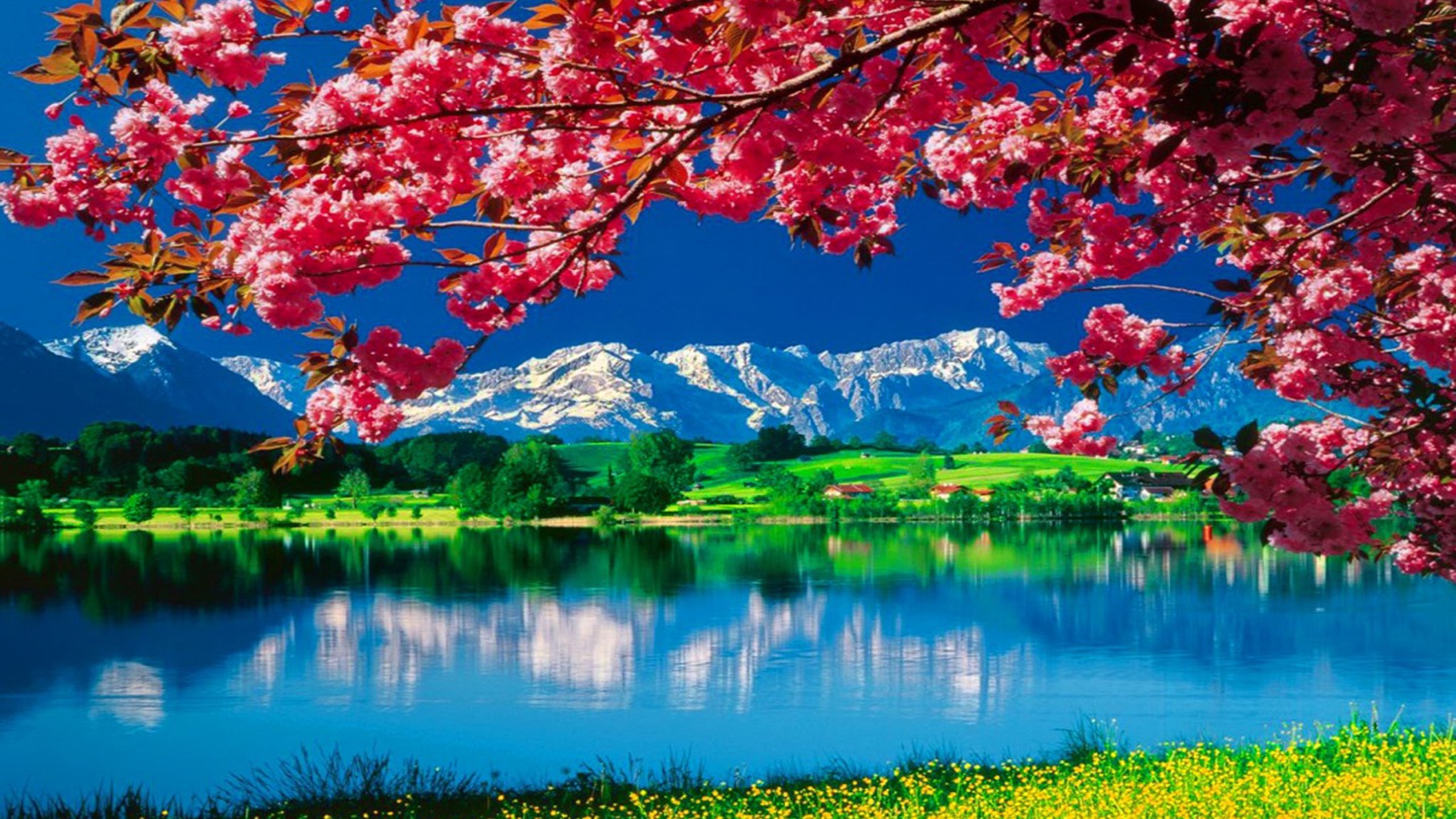 Музыка для релаксации. Музыка для души смотреть онлайн