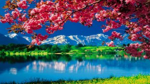 Музыка для релаксации. Музыка для души