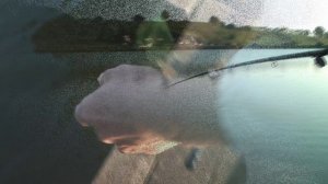 на рыбалку.