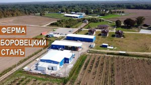 Разведение КРС. Производство молочной продукции. Ферма Боровецкий станъ. ТМ Ключевское