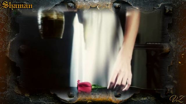 Shaman – Теряем мы любовь 2023 HDR смотреть онлайн