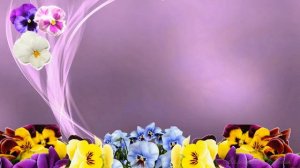 Цветок Юпитера