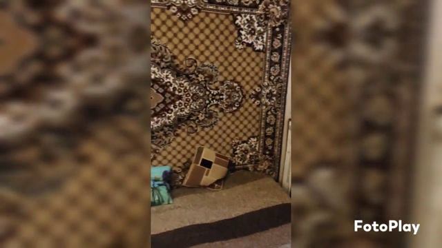 сдам квартиру посуточно Санкт-Петербург