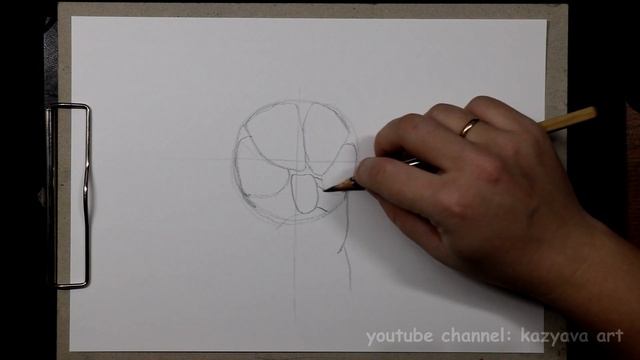 Как нарисовать ЛАПКУ котика карандашом. Часть 1. Построение