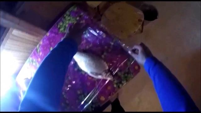 ? КАК УПАКОВАТЬ РЫБУ ДЛЯ ХРАНЕНИЯ!АХТУБА! смотреть онлайн