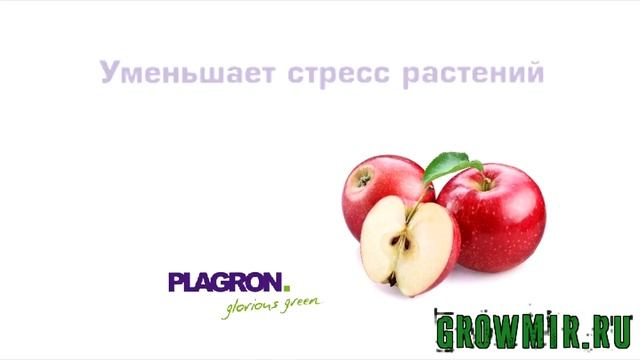 Стимулятор Green Sensation 100мл ( PLAGRON) Для цветения растений. смотреть онлайн