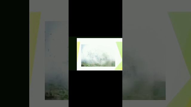 Оралхан Бөкей "Қар қызы"