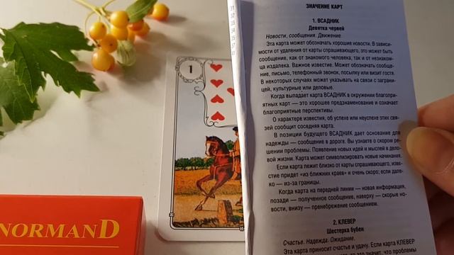 Карты Ленорман. 1 карта. ВСАДНИК. Значение с инструкции.