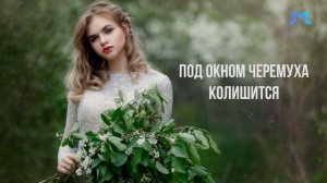 ПОД ОКНОМ ЧЕРЕМУХА КОЛИШИТСЯ