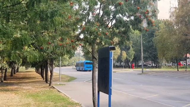 Нужно ли метро в Лосиноостровский район? Хороший трамвай лучше!